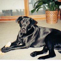 Judy Ball Photo 19