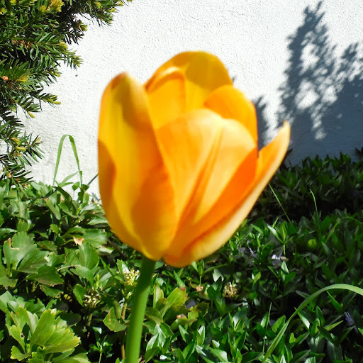 Mary Herbst Photo 38