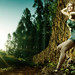 Luz Kelly Photo 7