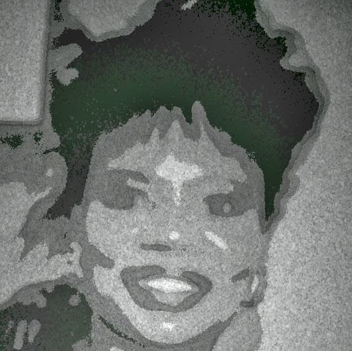 Debra Devine Photo 17