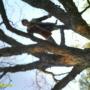Sean Horn Photo 21
