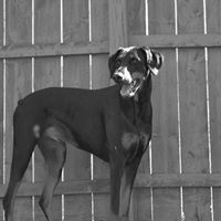 Joseph Varner Photo 26