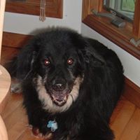Linda Streeter Photo 32
