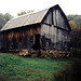 Shannon Burton Photo 10