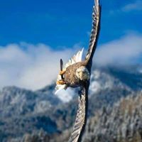 Mike Halverson Photo 39