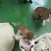 Penny Hooper Photo 28