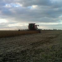 Steve Hollar Photo 6