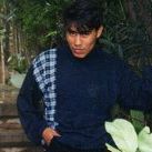 Raymundo Paz Photo 7