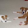 Donna Hanson Photo 35
