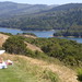 Janet Forrest Photo 31