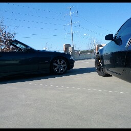 Mark Gomes Photo 37