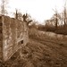 Kent Pilling Photo 6