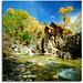 Crystal Mills Photo 35