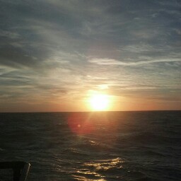 Joseph Diaz Photo 40