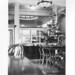 Beverly Cass Photo 9