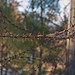 Barb Cartwright Photo 12