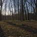 Timothy Crabtree Photo 28