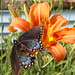 Jeanne Smith Photo 7