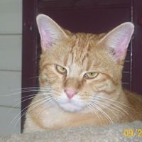 Tammy Mcwilliams Photo 9