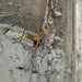 Jerry Weis Photo 17