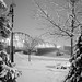 Warren Parker Photo 24