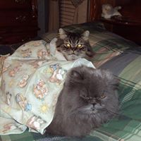 Kathy Phelps Photo 37