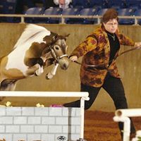 Ann Darnell Photo 22