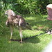 Jennifer Hawk Photo 10