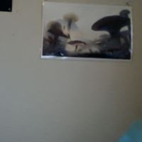 Sarah Smithson Photo 26