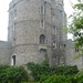 Christine Windsor Photo 18