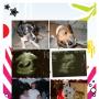 Elizabeth Beyer Photo 12