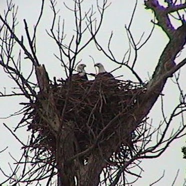 Kathy Lowery Photo 28