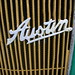 Johnnie Austin Photo 19