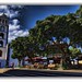 Wilfredo Plaza Photo 6