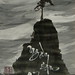 Trung Le Photo 23