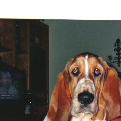 Ann Simpson Photo 22
