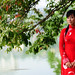 Ngoc Vo Photo 20