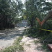 Irene Wright Photo 36
