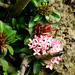 Thang Doan Photo 27