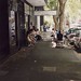 Victoria Potts Photo 20