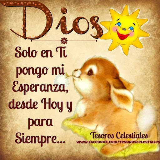 Nancy Lugo Photo 49