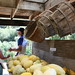Jerry Draper Photo 15