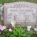 Ann Welch Photo 11