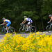 Will Friedman Photo 10