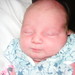 Catherine Dickson Photo 12