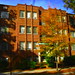 George Nicholson Photo 18