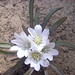 Anne Orth Photo 4