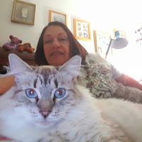 Susan Korth Photo 8