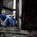 Travis Thornton Photo 3