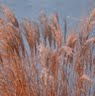 Joyce Hummel Photo 6